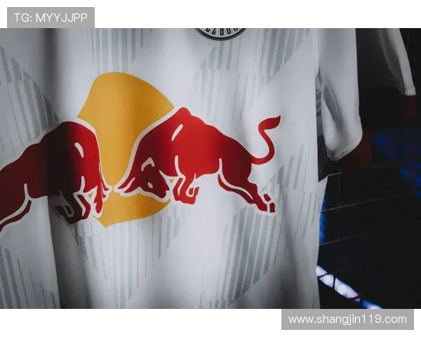 在永乐国际F66的引领下,勇往直前迎接新挑战 在永乐国际F66的引领下,勇往直前迎接新挑战